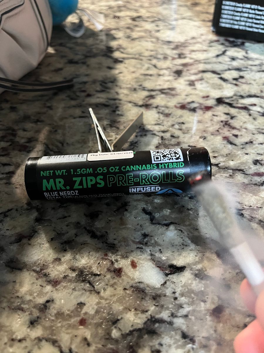 Mr. Zips Blue Nerdz