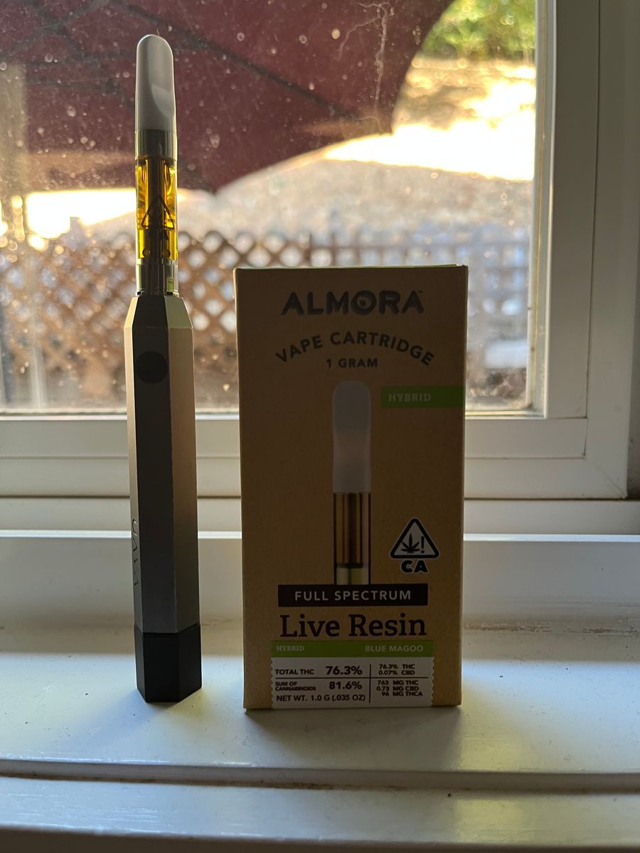 Almora Blue Magoo