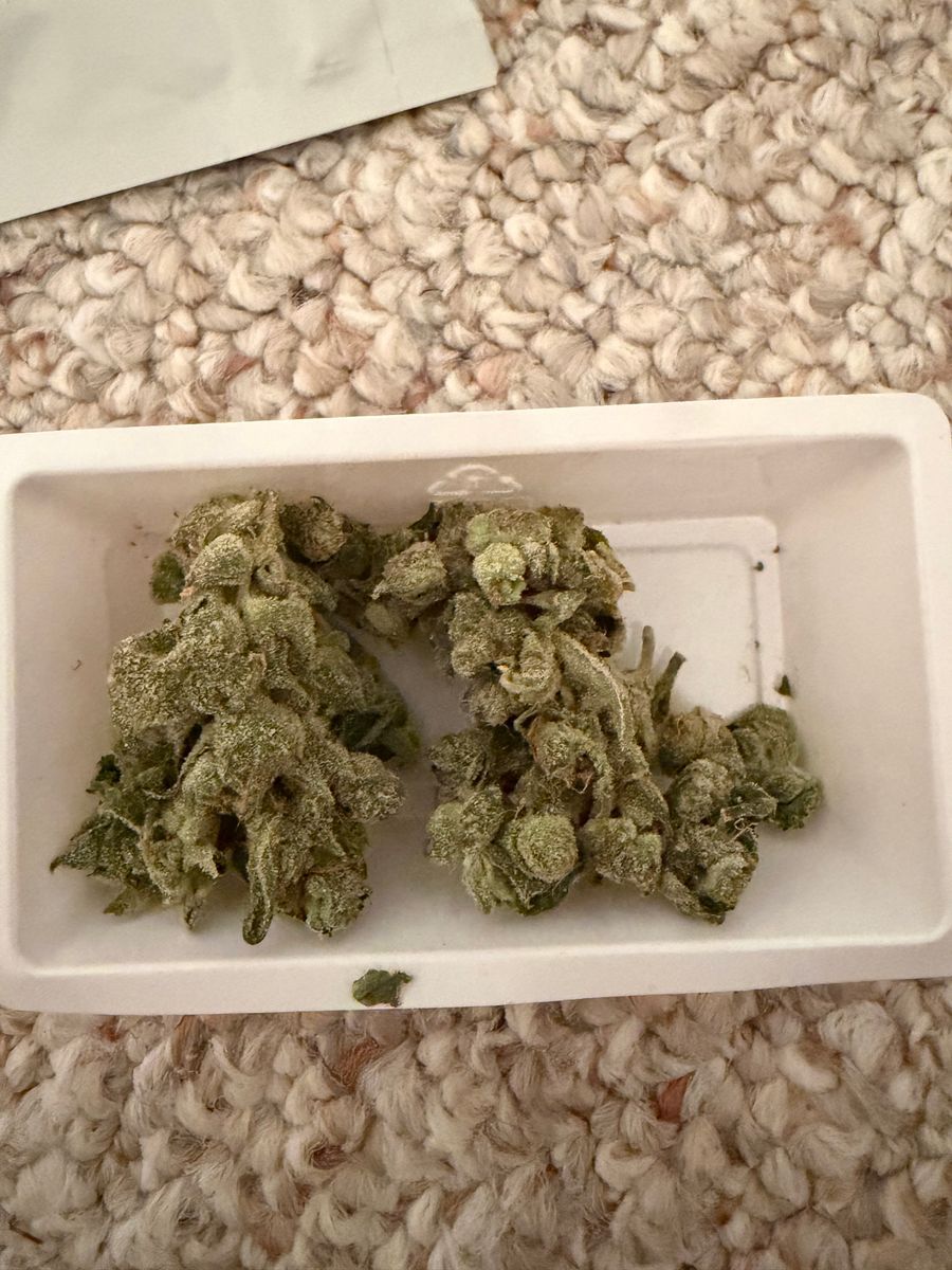 Pink Passion strain
