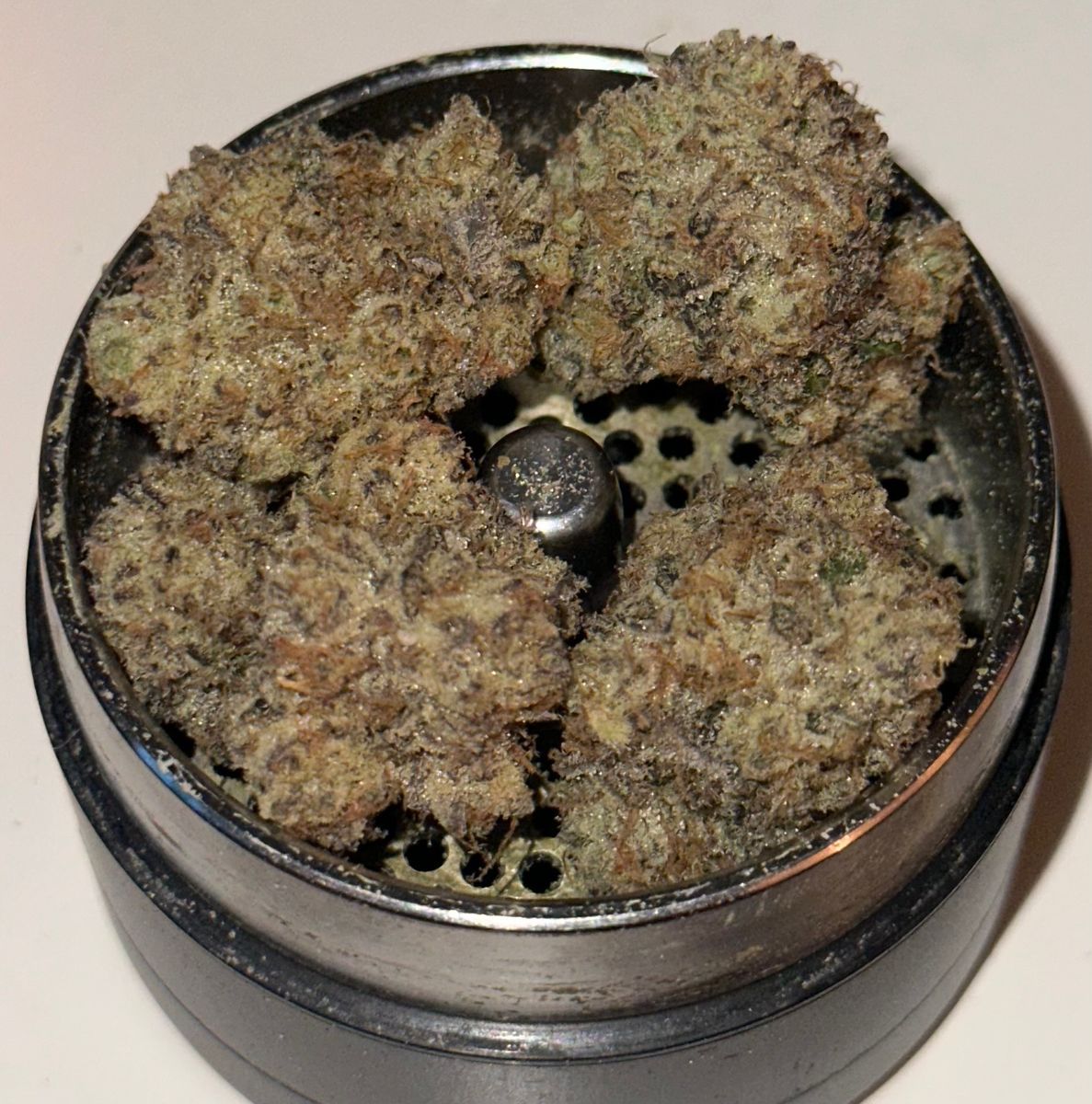 Deep Creek Gardens: Coconut Cream