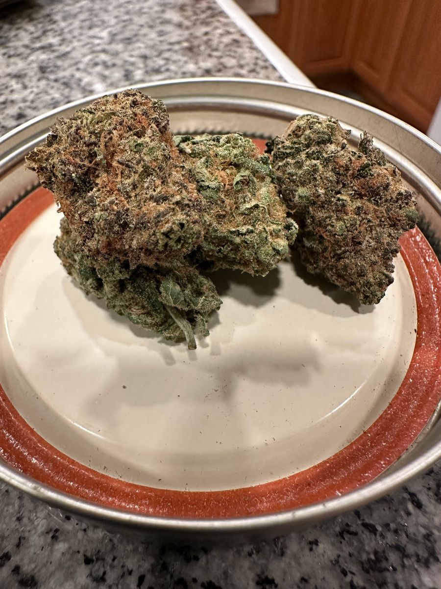 Sanctuary Medicinals  brand