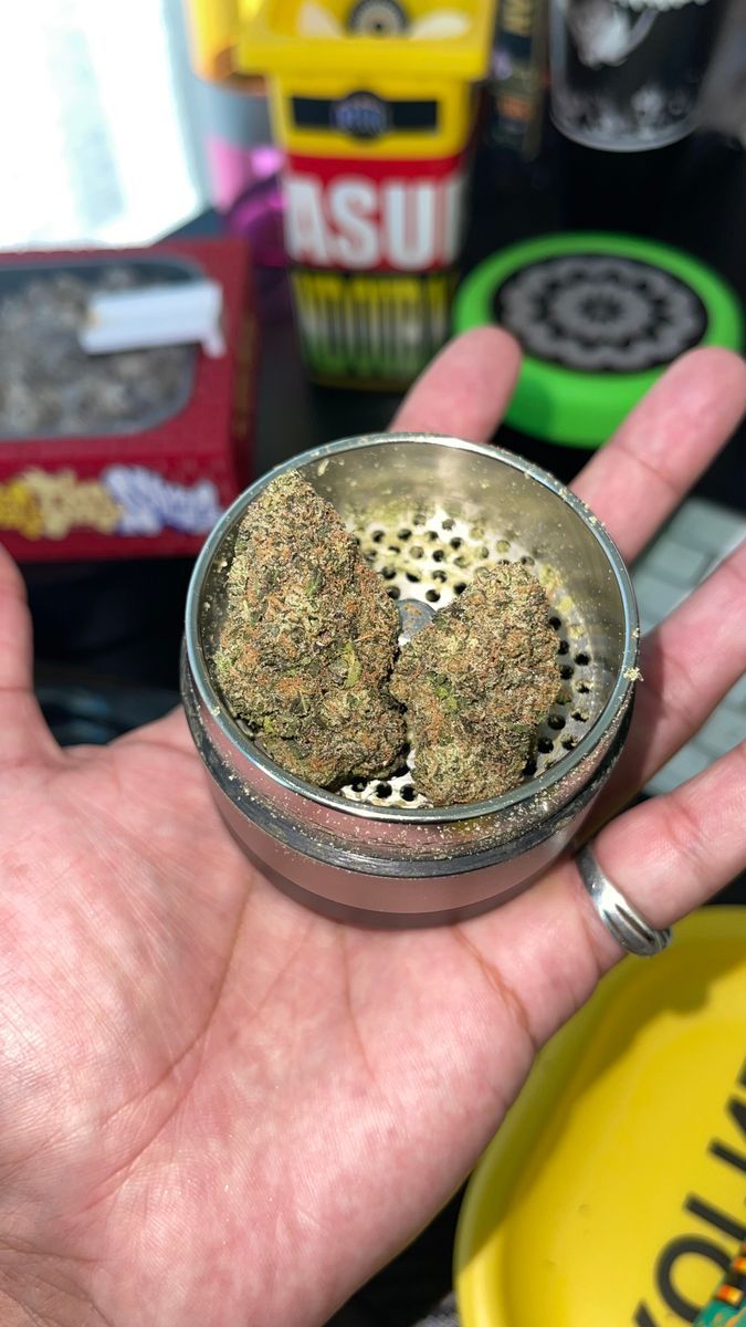 Wizard Trees Zang Banger