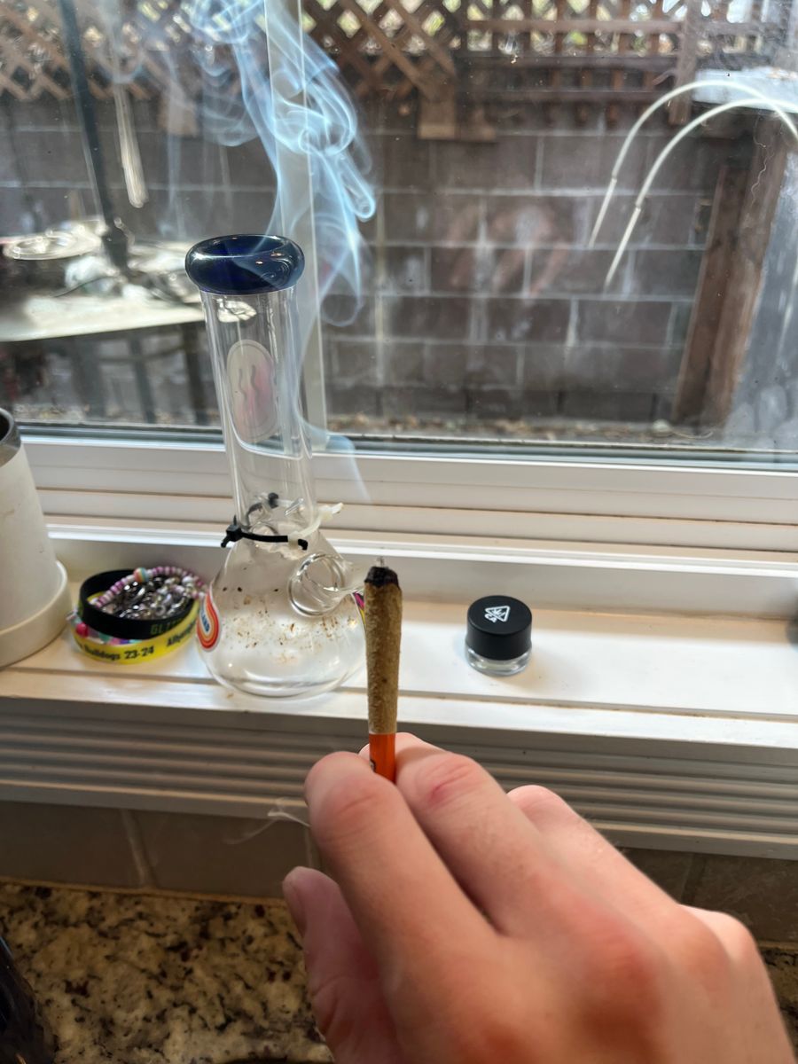 Sluggers Rodeo Og
