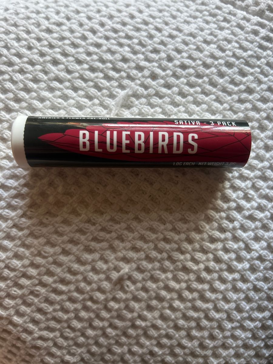 Bluebirds Devil Driver