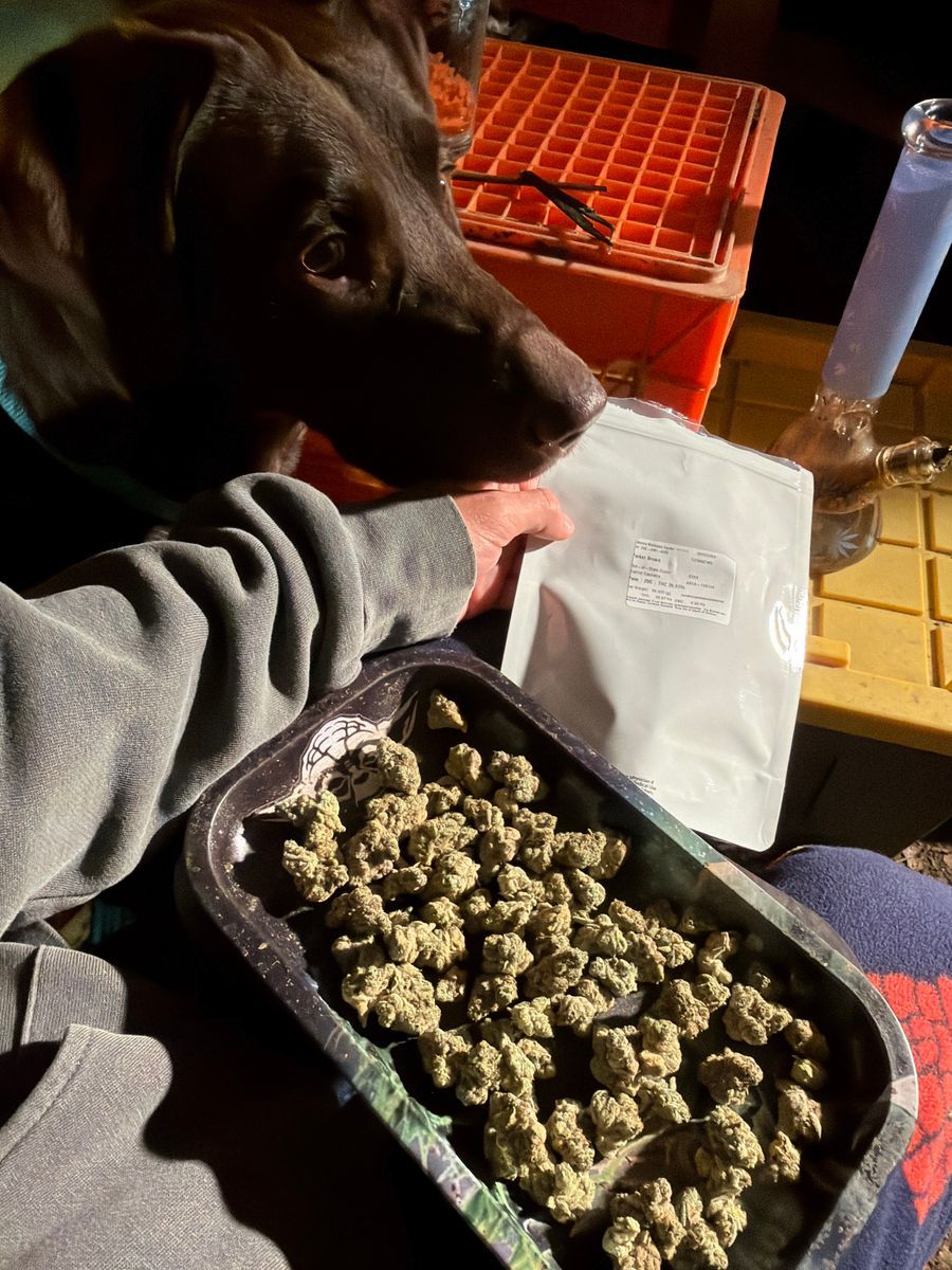 District Cannabis Pave