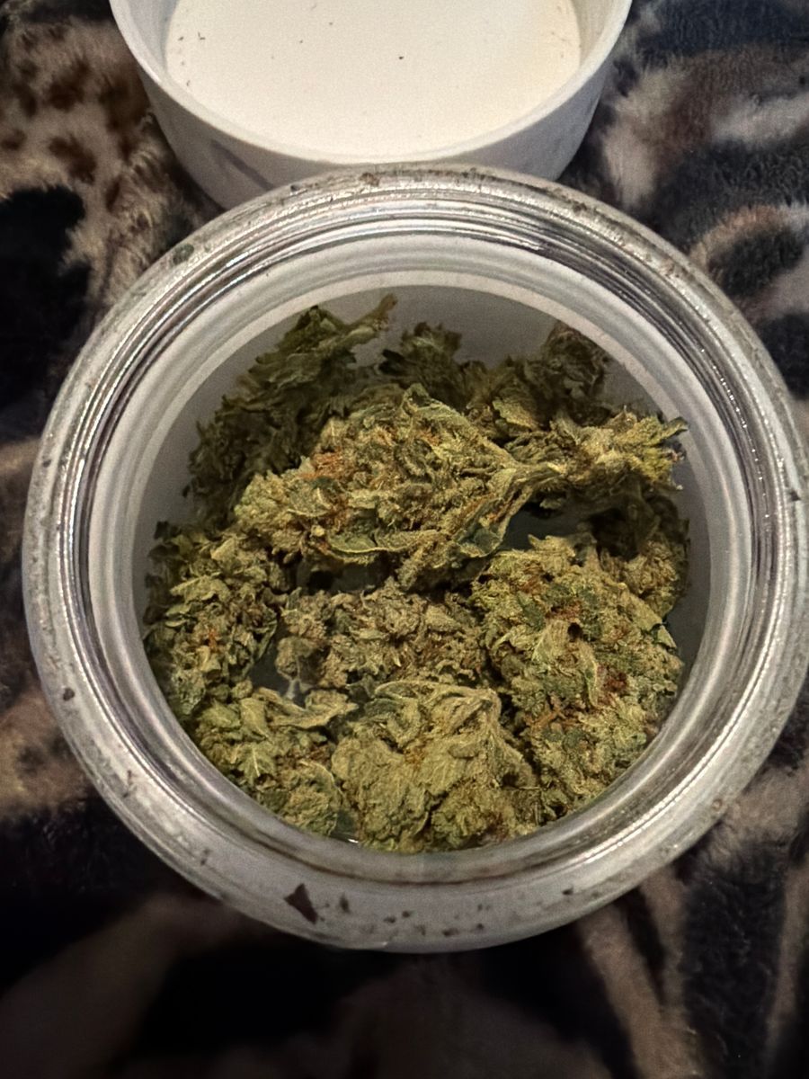 Supply Og Kush