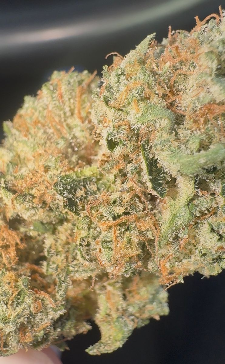 710 Labs: Tmz #16