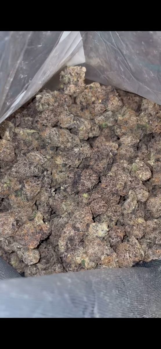 Pc Pure Indica