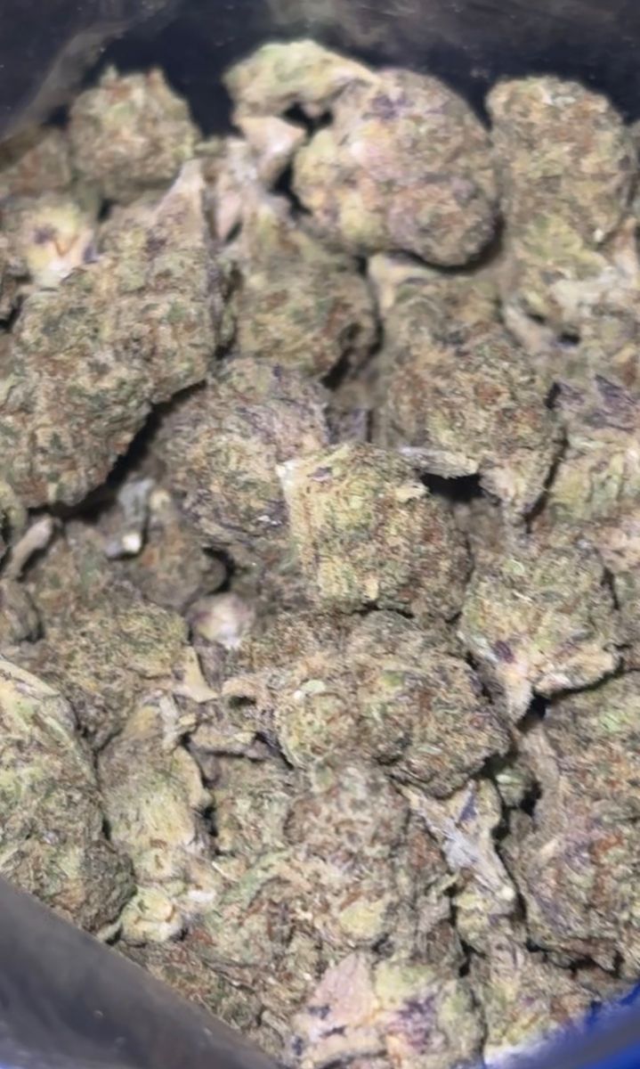 Streets Gelato King