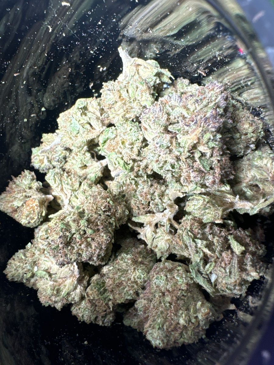 Blue City Diesel strain