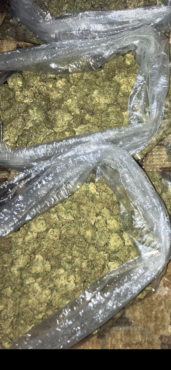 Plug Cookies N Cream