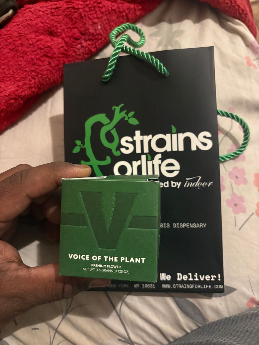 Voice Of The Plant: Gelato 41
