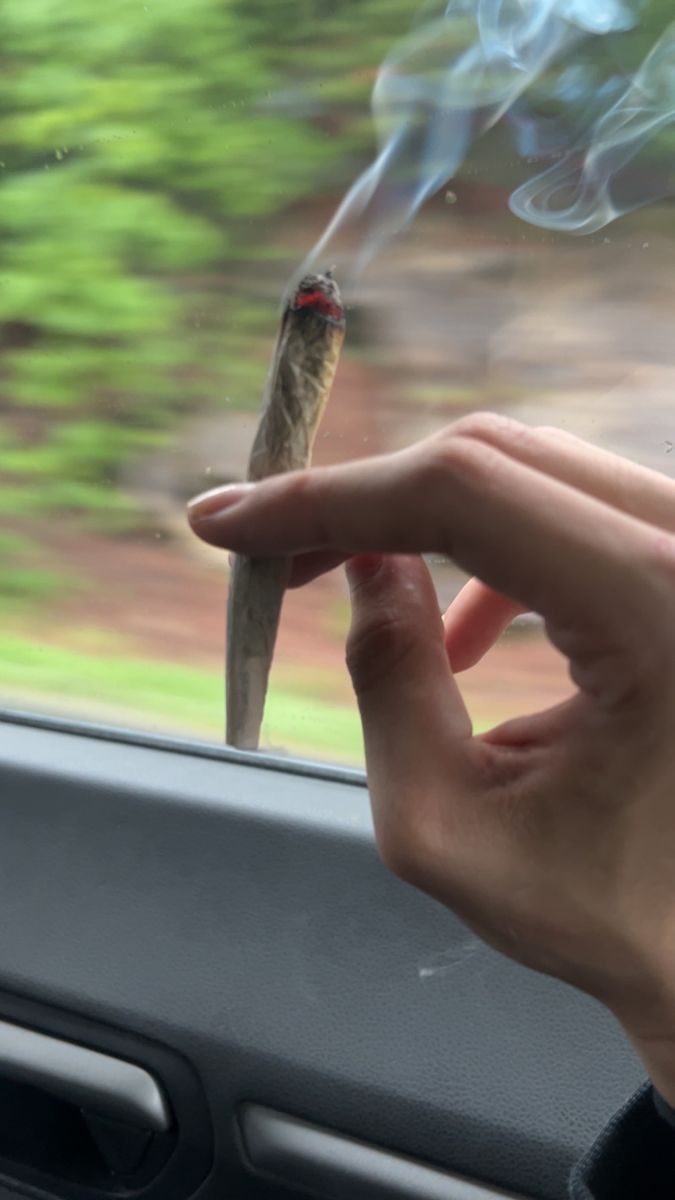 Stuffys strain
