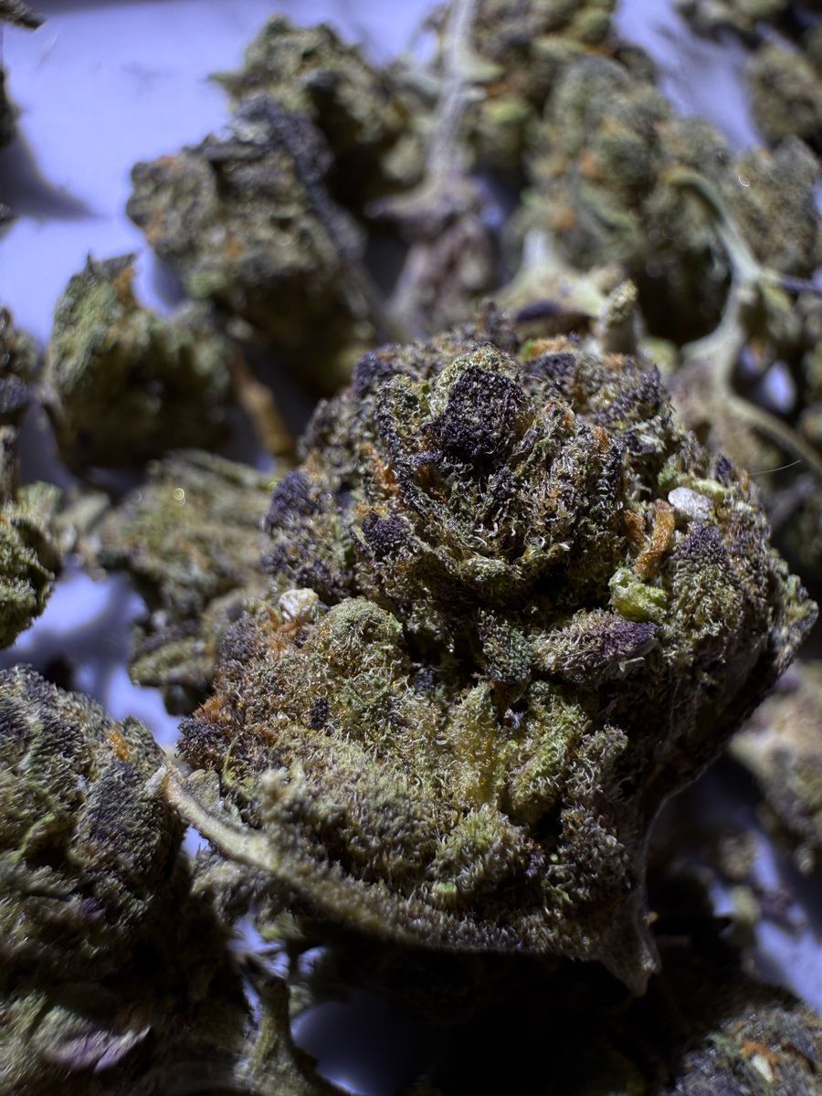 Space Gelato Cookies strain