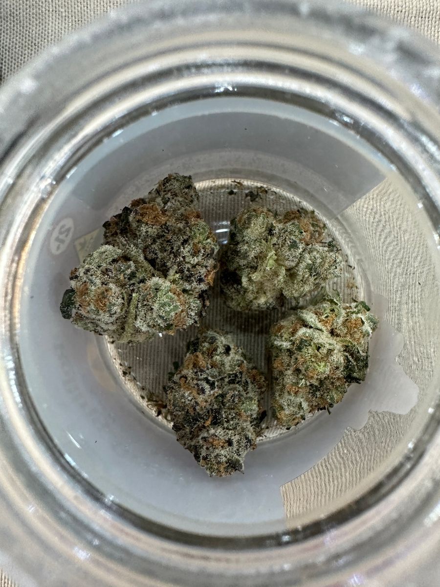 Sub Zero strain