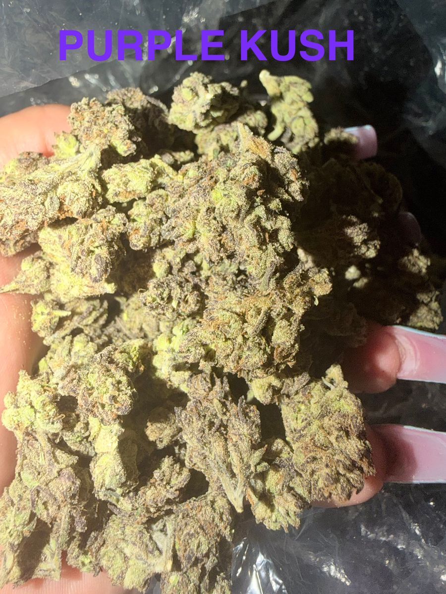 Purple Kush strain
