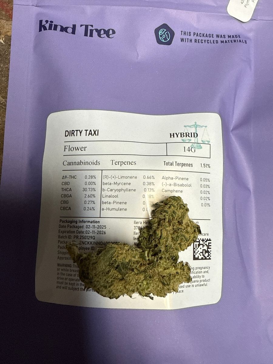 Dirty Taxi strain