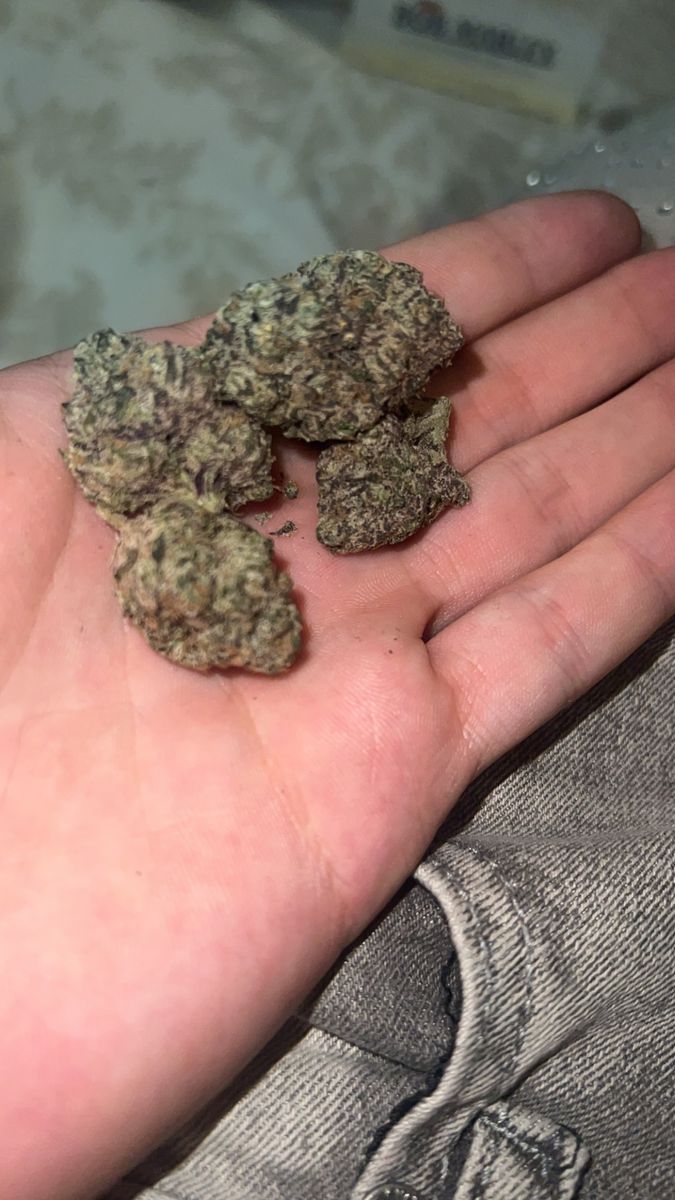 Skunk Lato brand