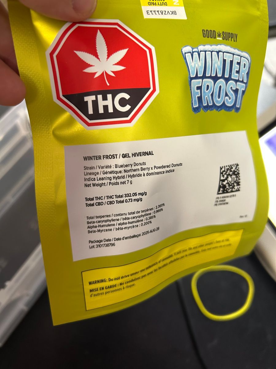 Blueberry Donuts strain
