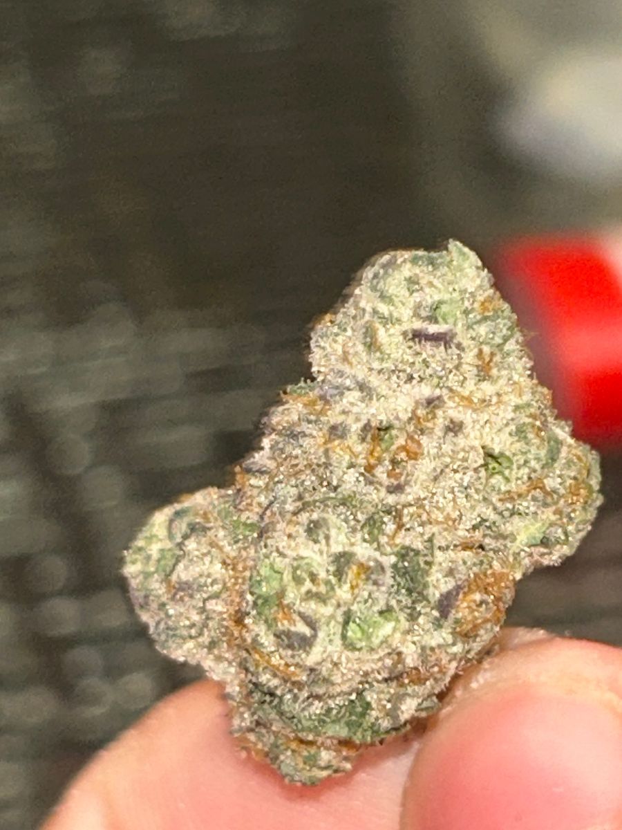 Bay Smokes White Truffle