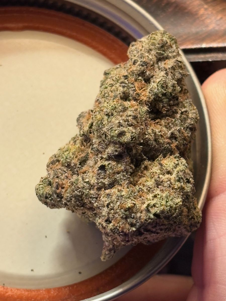 Ght Farms : Runtz