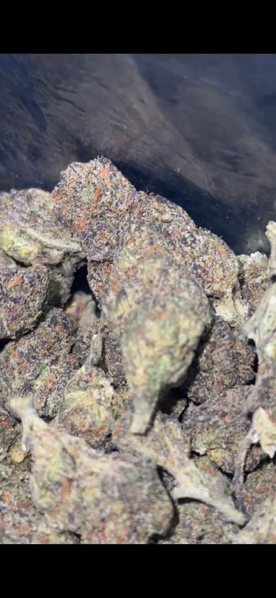 Streets Purple Urkle