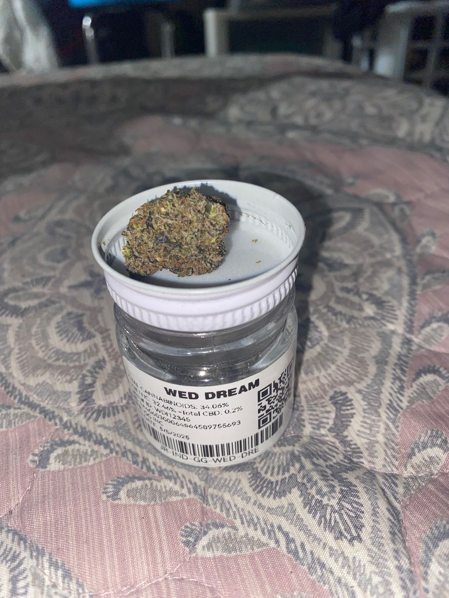 Wed Dream strain