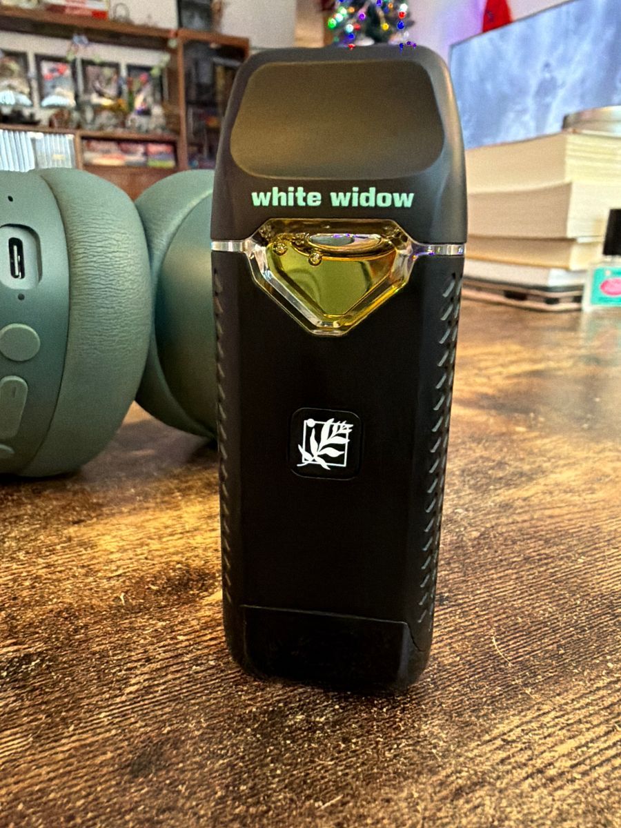 White Widow strain