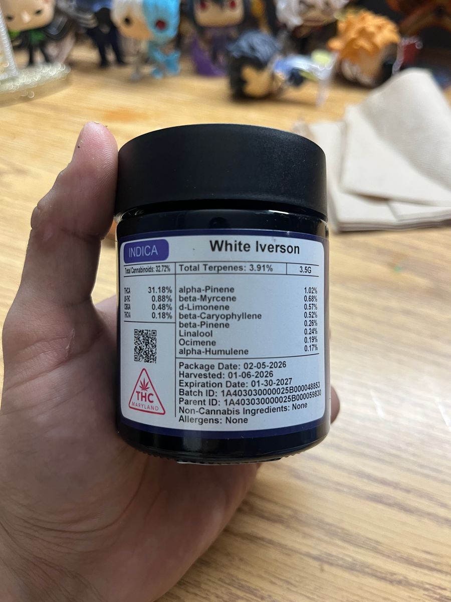 White Iverson strain