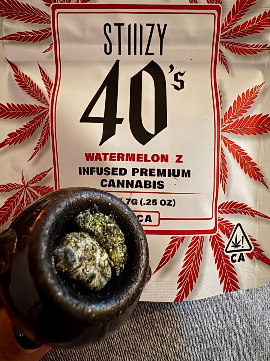 Stizzy Watermelon Z