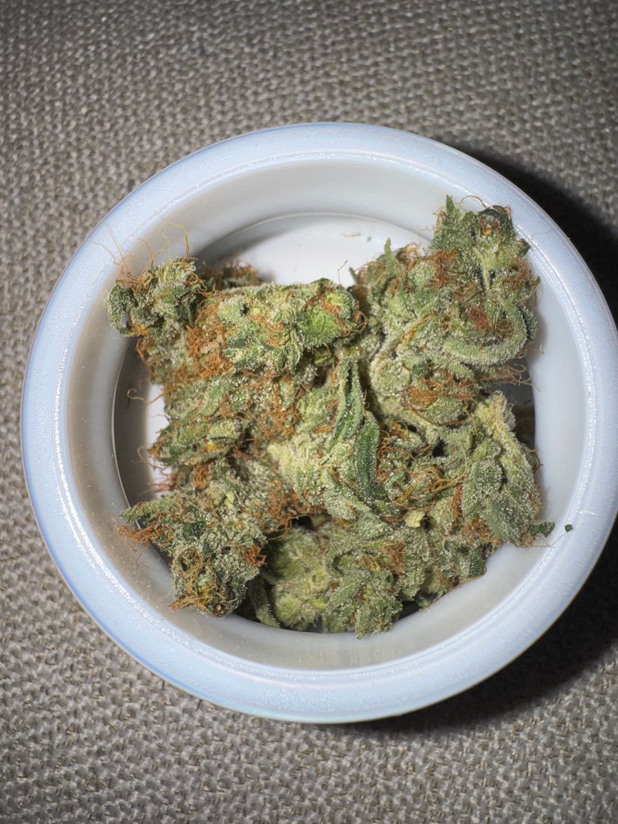 Sb36#1 strain