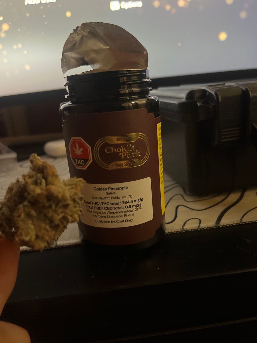 Choklitpark Golden Pineapple