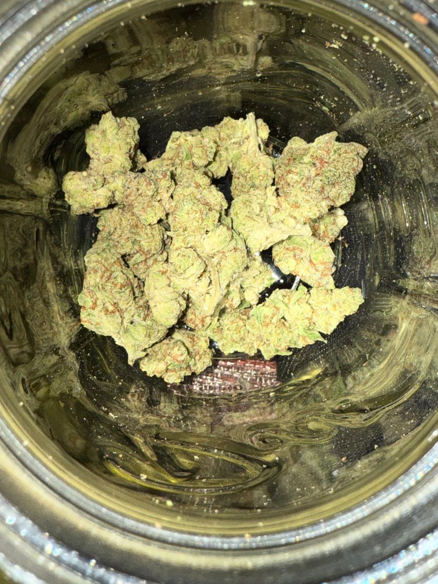 White Russian Og strain