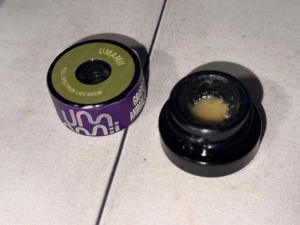 Grape Pie X Animal Cookies strain