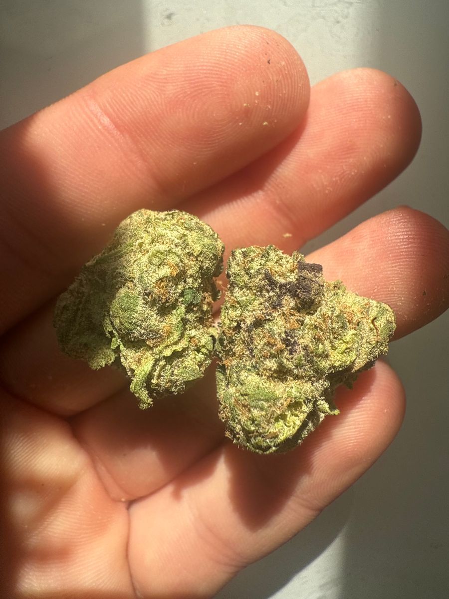 Wusah strain