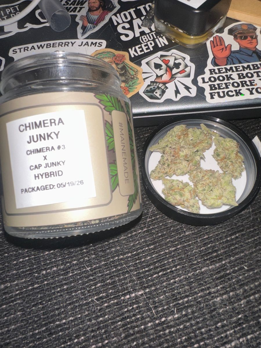 Chimera Junky strain