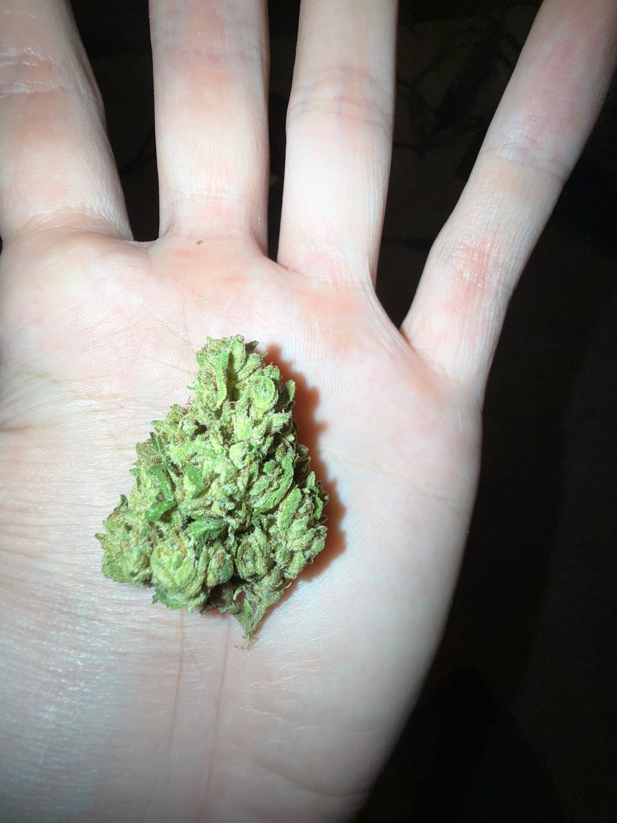 Sunshine Weed Co. Og Kush