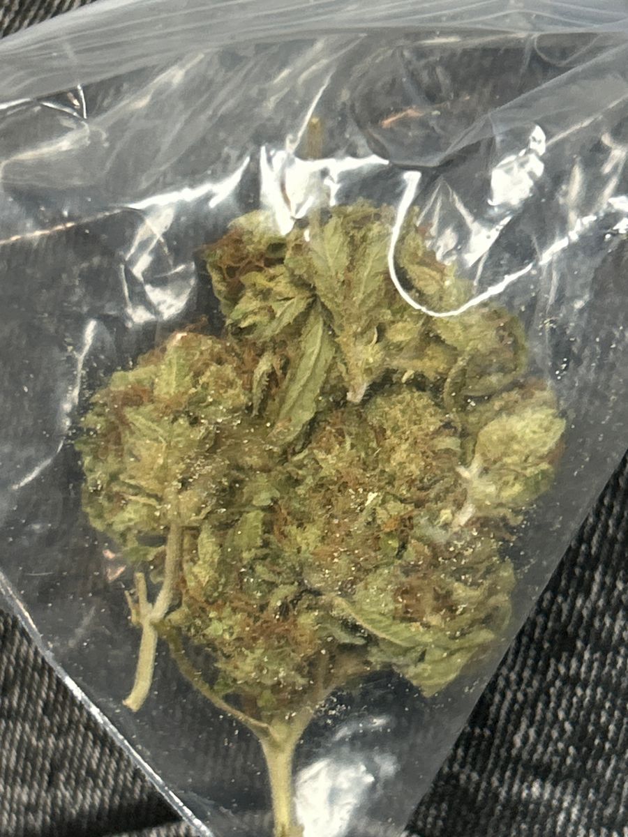 Traditional Gorilla Glue Gg4