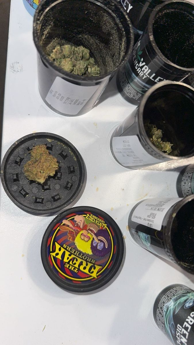 Gelato Gelato 41