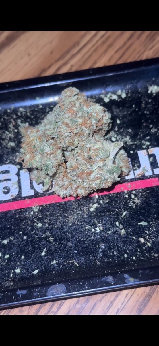 Anarchy Farms Ct: Jack Herer