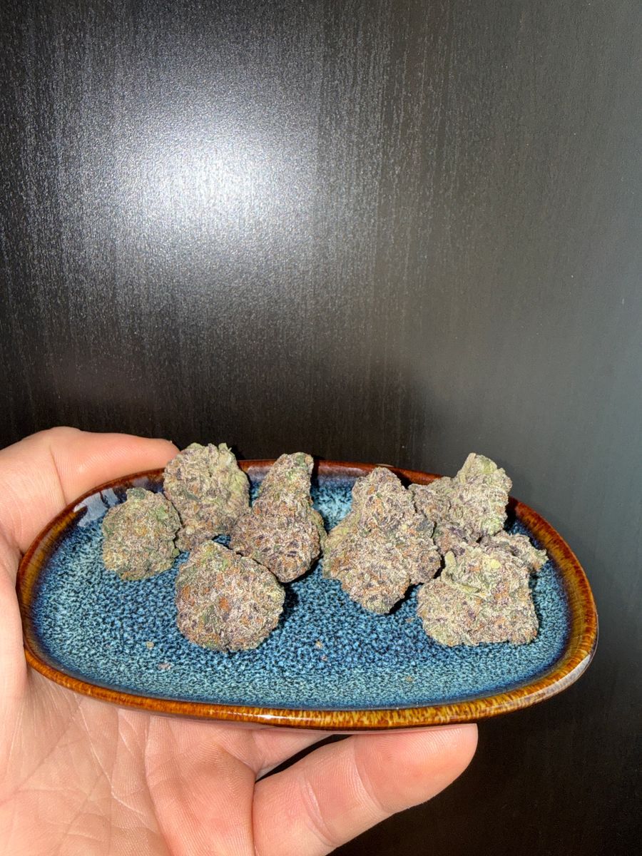Lucky Dragon(Cherry Bombxbiscotti) strain