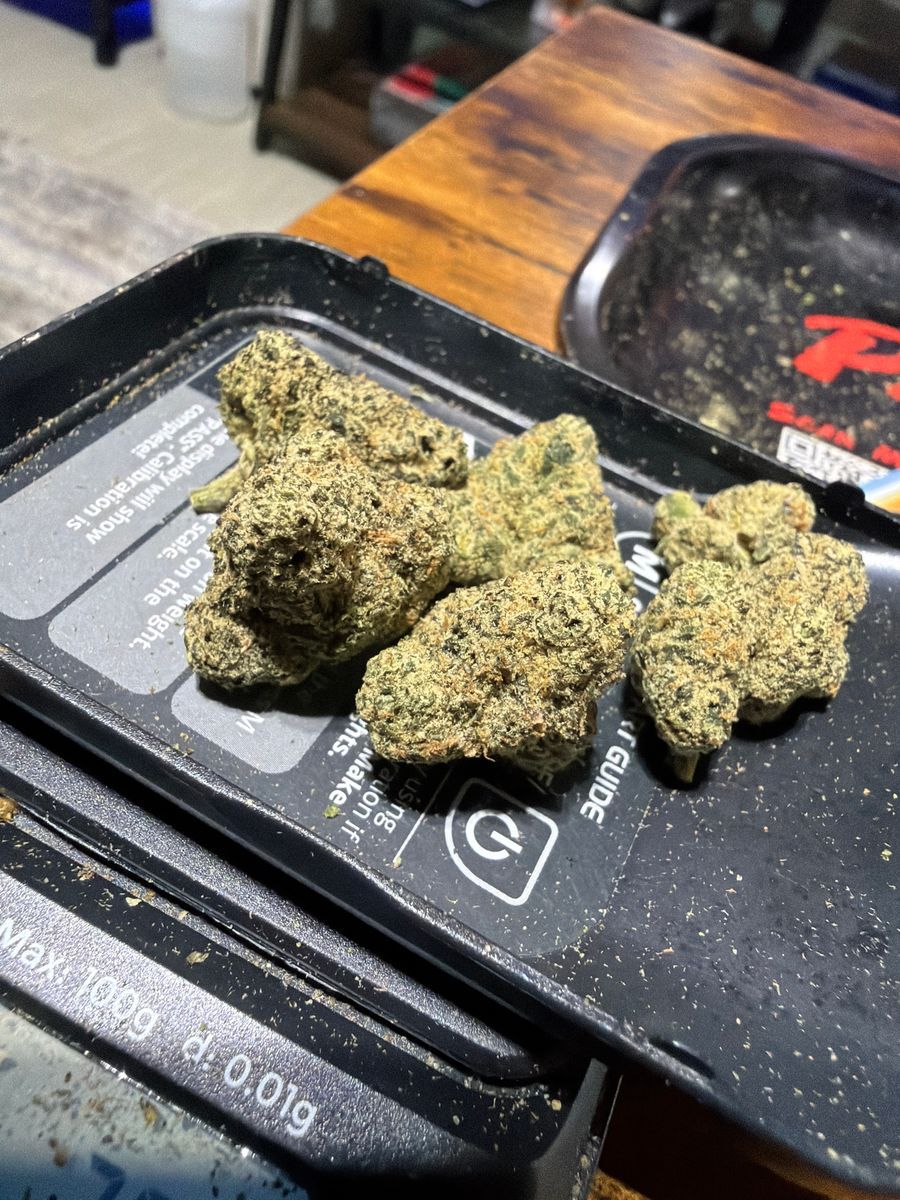Gary Payton Og strain