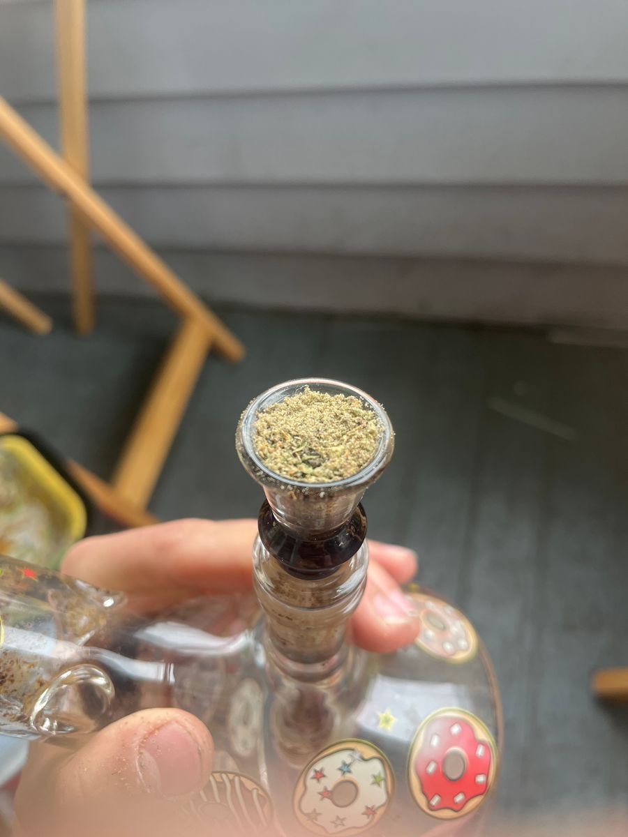 Pineapple Donut strain