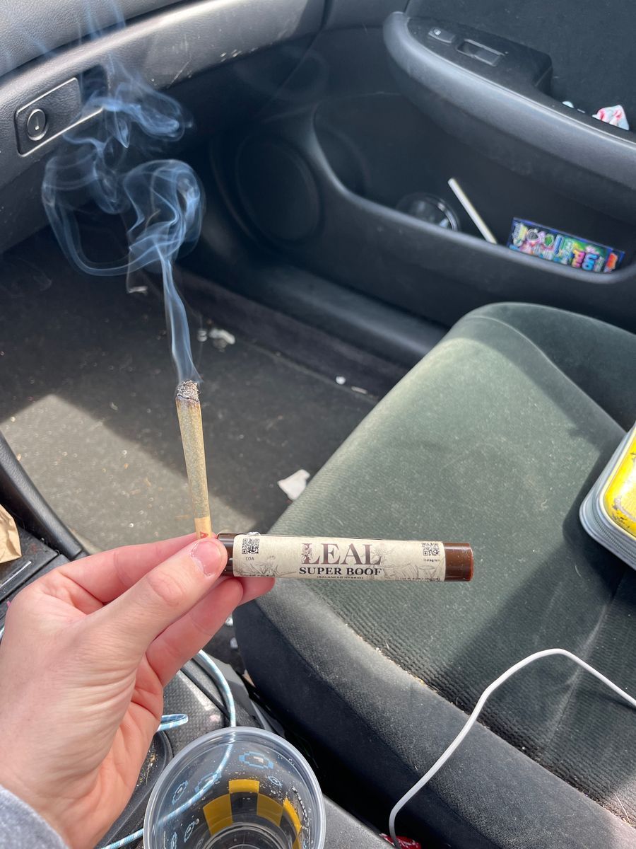 Super Boof strain