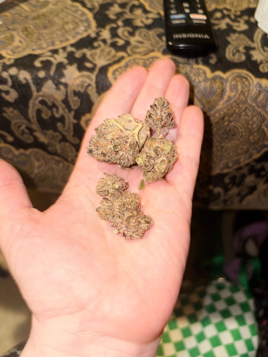 Jelly Roll strain