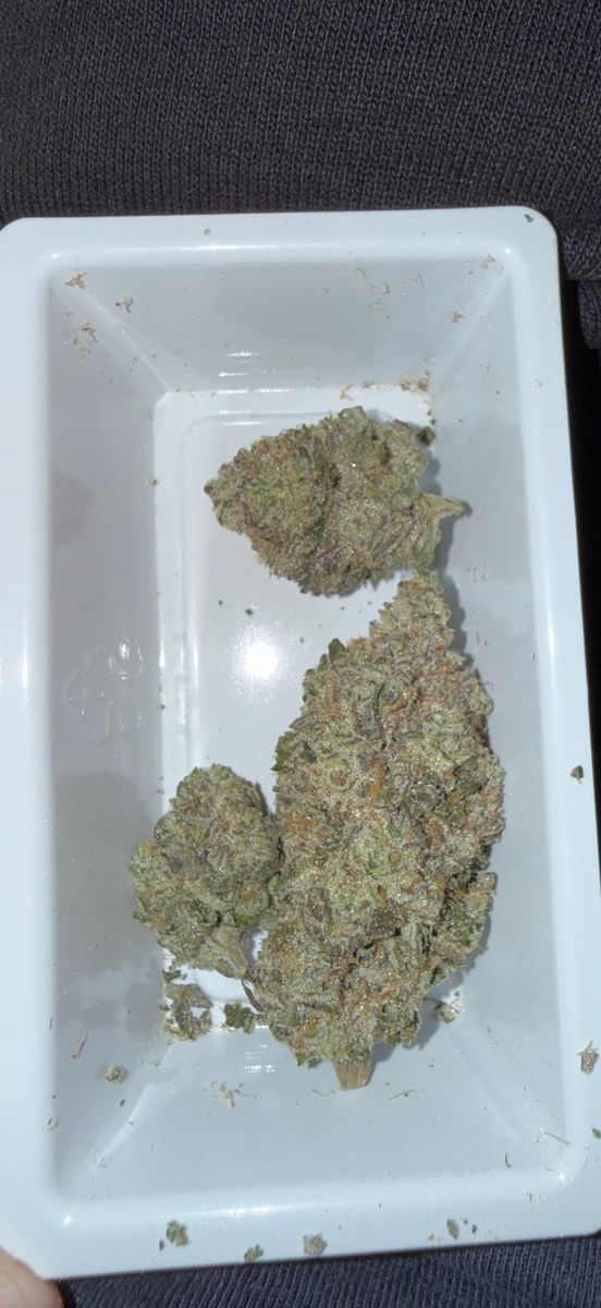 Ideal Cannabis: Triple Burger