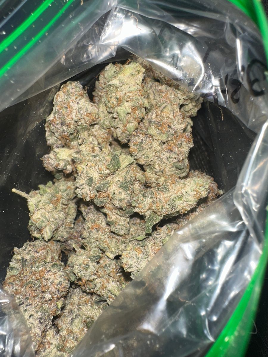 Maine Trees Strawberry Shortcake