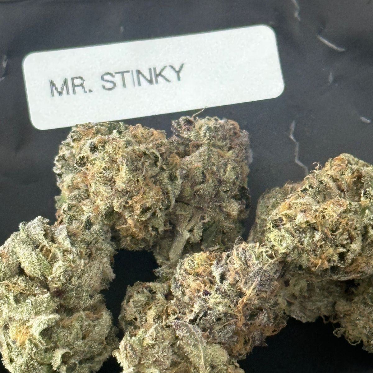 Anarchy Farms Ct: Mr Stinky
