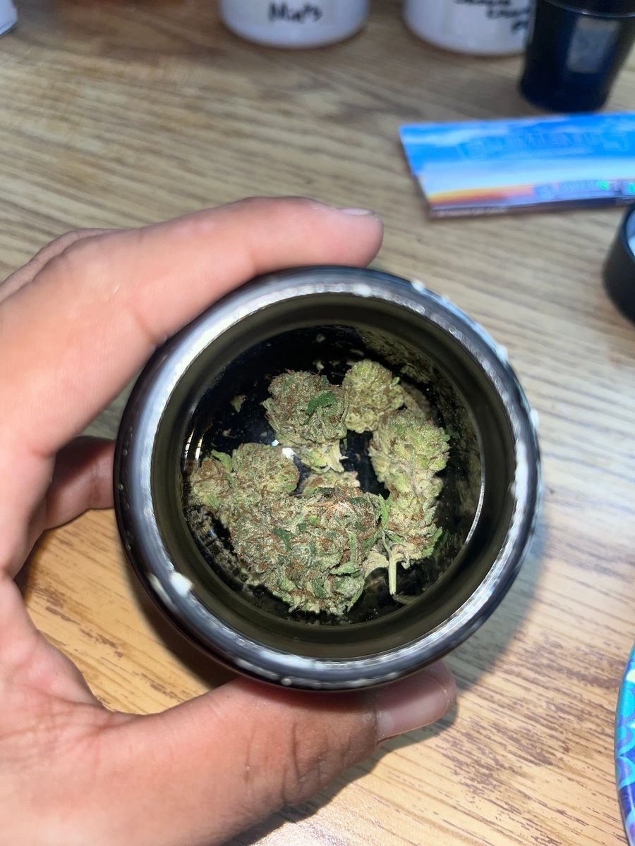 District Cannabis: Miami Beach