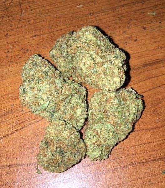 Gumbo strain
